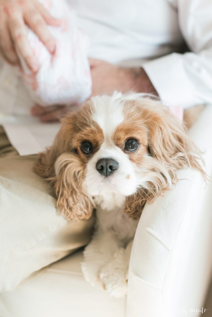 Austin lifestyle newborn session by Austin family photographer Cristy Angulo | www.cristyangulo.com