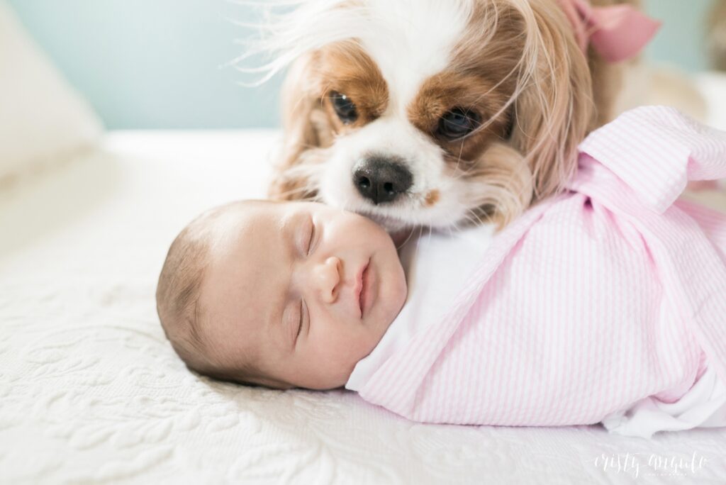 Austin lifestyle newborn session by Austin family photographer Cristy Angulo | www.cristyangulo.com