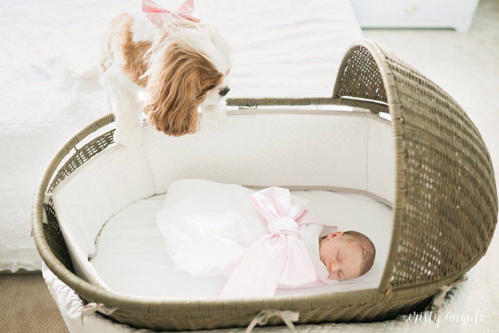 Austin lifestyle newborn session by Austin family photographer Cristy Angulo | www.cristyangulo.com